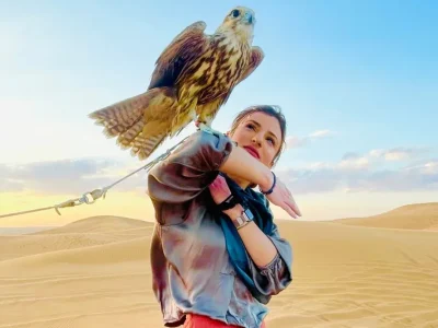 VIPDesertSafariFalconPhotos.webp